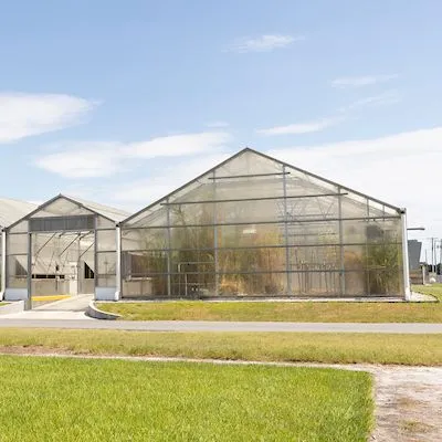 thumbnail for publication: Florida Greenhouse Design